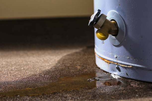 Best Water damage restoration process  in Wadley, GA