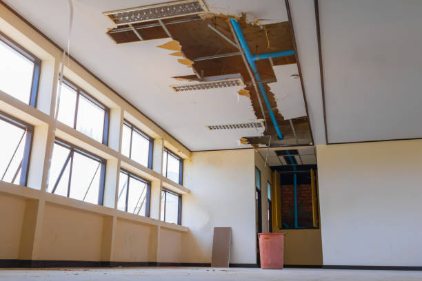 Best Flood restoration services  in Wadley, GA