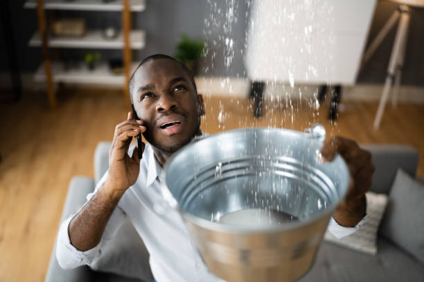 Best Water damage contractors near me  in Wadley, GA