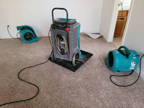 Best Sewage cleanup and water damage restoration  in Wadley, GA