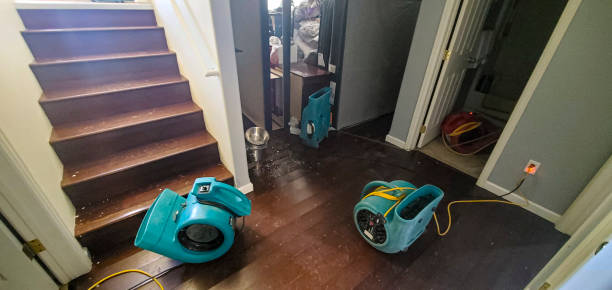 Carpet water damage restoration in GA