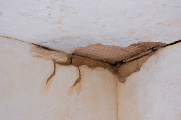 Best 24-hour water damage restoration  in Wadley, GA
