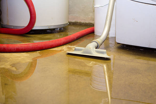 Best Local water damage restoration  in Wadley, GA