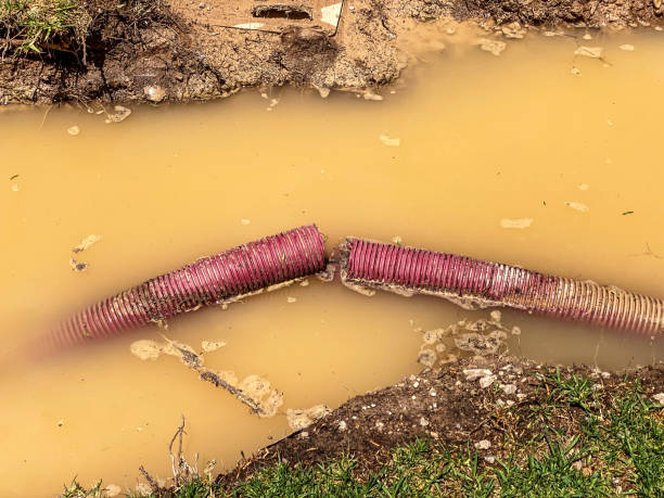 Best Water damage restoration near me  in Wadley, GA